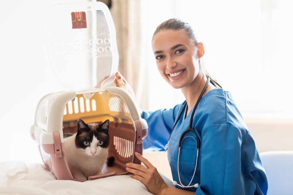 Sultangazi Veteriner